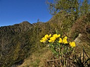 Rif. Benigni con Cima Piazzotti-ValPianella-15ott21  - FOTOGALLERY